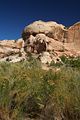 Weg zu den Lower Calf Creek Falls