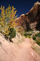 Weg zu den Lower Calf Creek Falls