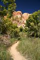 Weg zu den Lower Calf Creek Falls