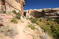 Rückweg von den Lower Calf Creek Falls