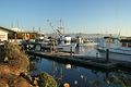 Morro Bay