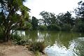 Golden Gate Park