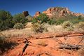 Courthouse Butte Loop