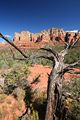 Courthouse Butte Loop