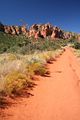 Courthouse Butte Loop