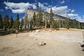 Tuolumne Meadows