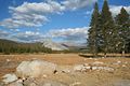 Tuolumne Meadows