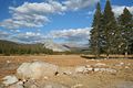 Tuolumne Meadows