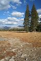 Tuolumne Meadows