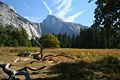 Half Dome