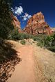 Trail zu Angels Landing