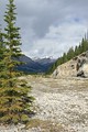 Icefield Parkway