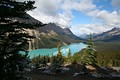 Peyto Lake