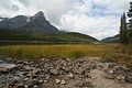 Waterfowl Lake