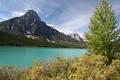 Waterfowl Lakes