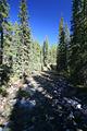 Johnston Canyon