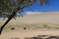 Bruneau Dunes