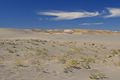 Bruneau Dunes