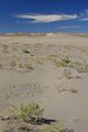 Bruneau Dunes