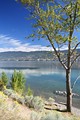 Okanagan Lake