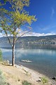 Okanagan Lake