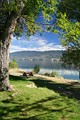 Okanagan Lake