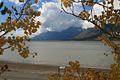 Jackson Lake