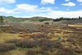 Willow Flats Overlook