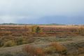 Willow Flats Overlook