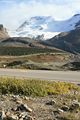 Columbia Icefield