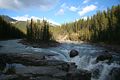 Sunwapta Falls