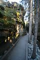 bei den Athabasca Falls