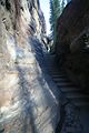 bei den Athabasca Falls