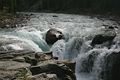 Sunwapta Falls