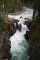 Sunwapta Falls