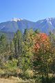Kootenay Valley Viewpoint