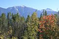 Kootenay Valley Viewpoint