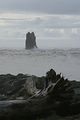 La Push