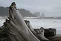 La Push