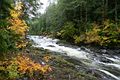 Salmon Cascades
