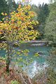 Elwha River