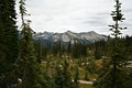 Mount Revelstoke Nationalpark - Meadows in the Sky