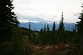Mount Revelstoke Nationalpark - Meadows in the Sky