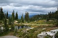 Mount Revelstoke Nationalpark - Meadows in the Sky