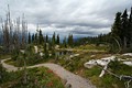 Mount Revelstoke Nationalpark - Meadows in the Sky