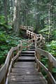 Mount Revelstoke Nationalpark