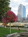 Victor Steinbrueck Park