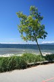 Stanley Park
