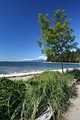 Stanley Park