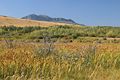 Beim Nordeingang vom Waterton Lakes Nationalpark